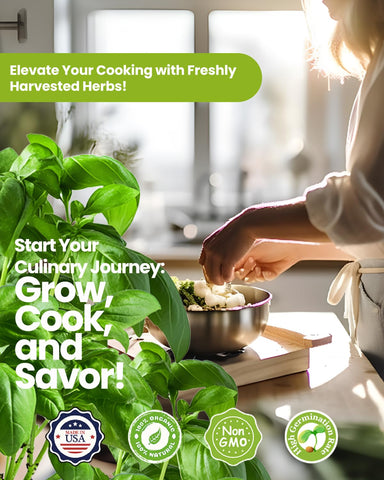 PLANTMEW indoor outdoor herb garden kit fits windowsill, balcony, or patio.