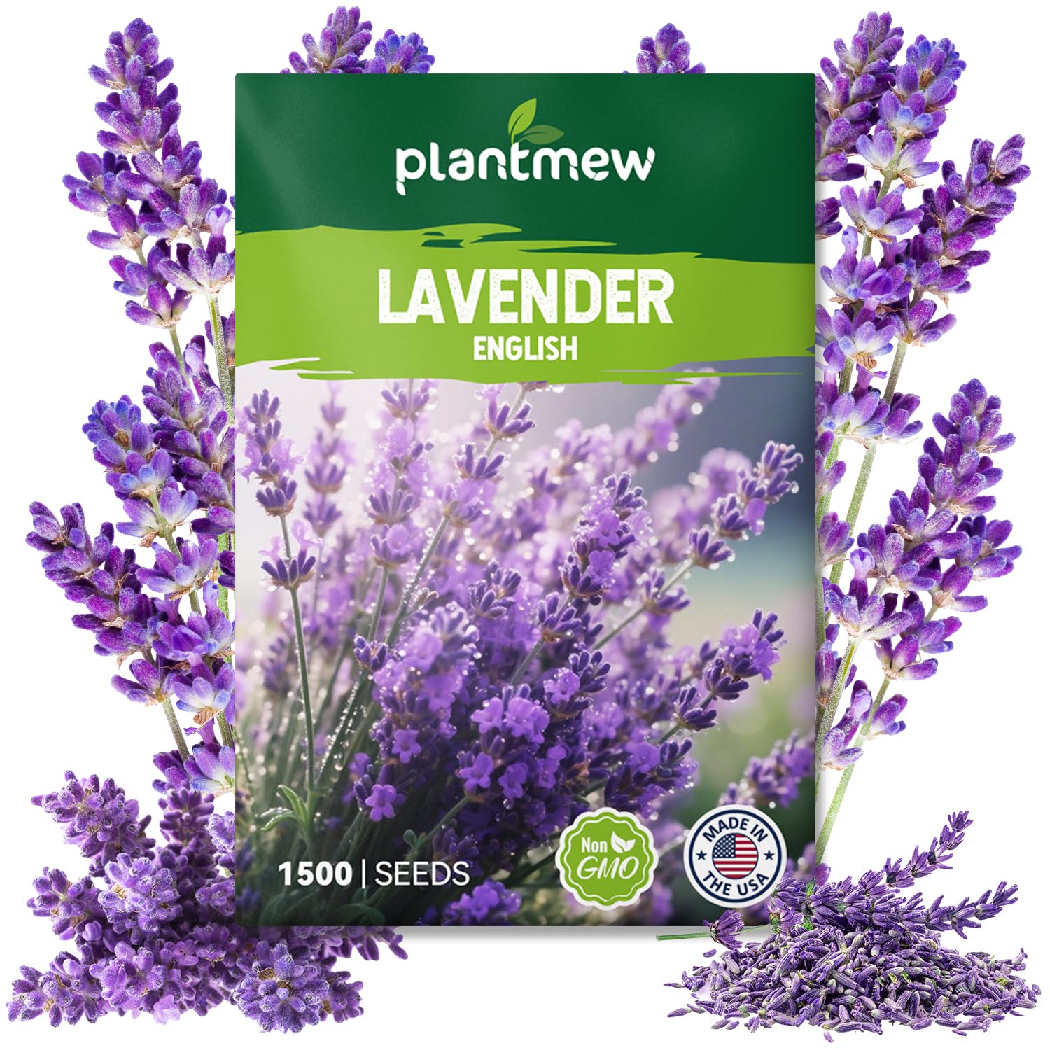 PLANTMEW English Lavender Seeds pack ready for planting with high germination.