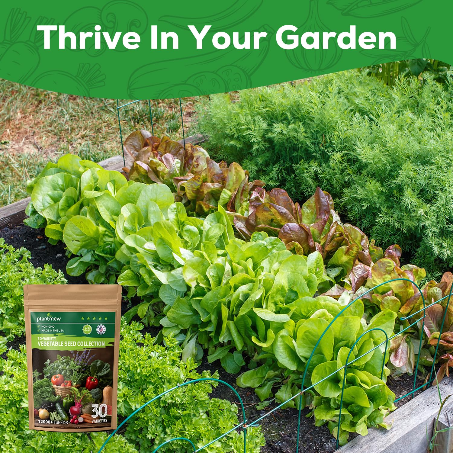 PLANTMEW vegetable-seed-garden-guide accompanies beginners with clear planting steps.