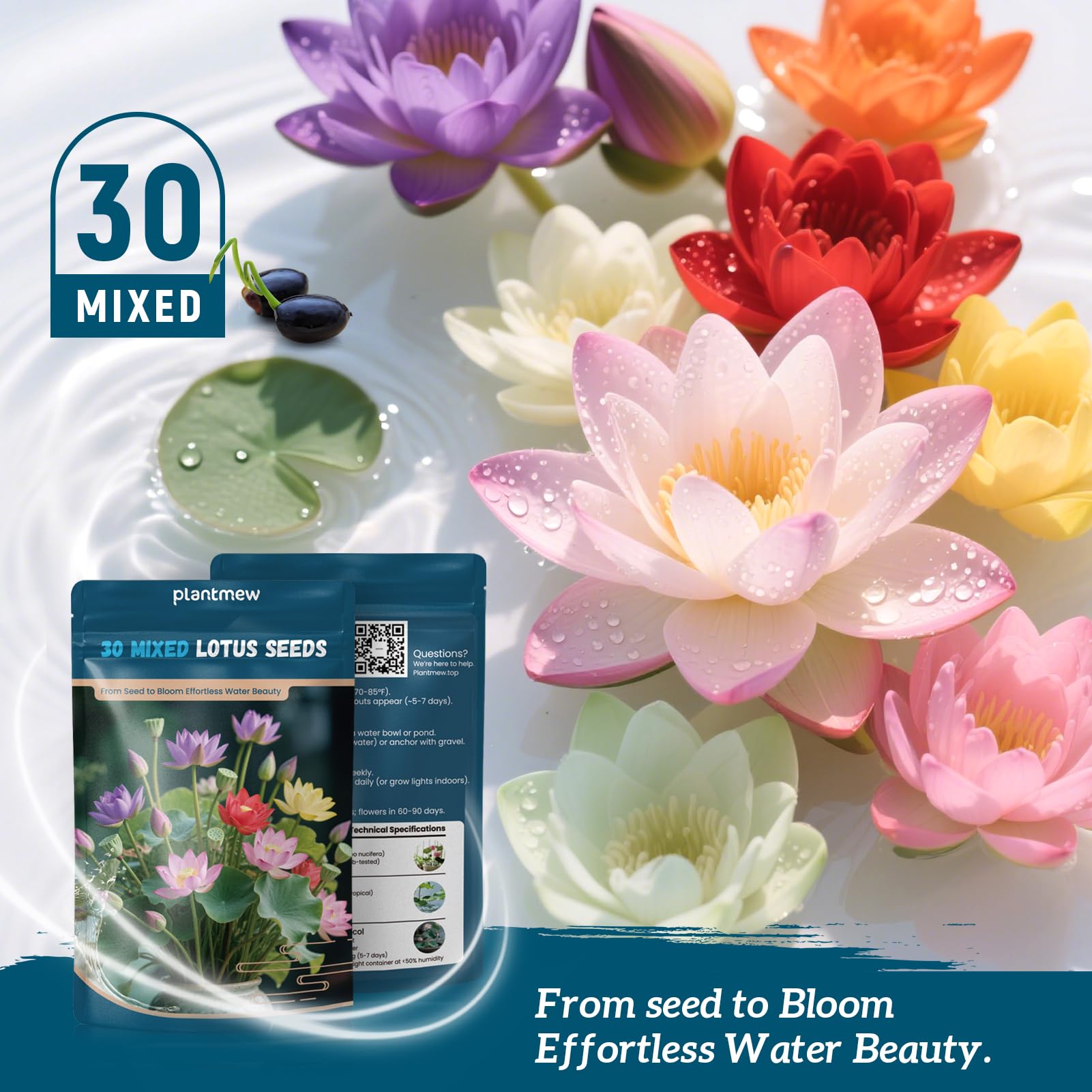PLANTMEW lotus seeds shown in indoor and outdoor planting scenarios.