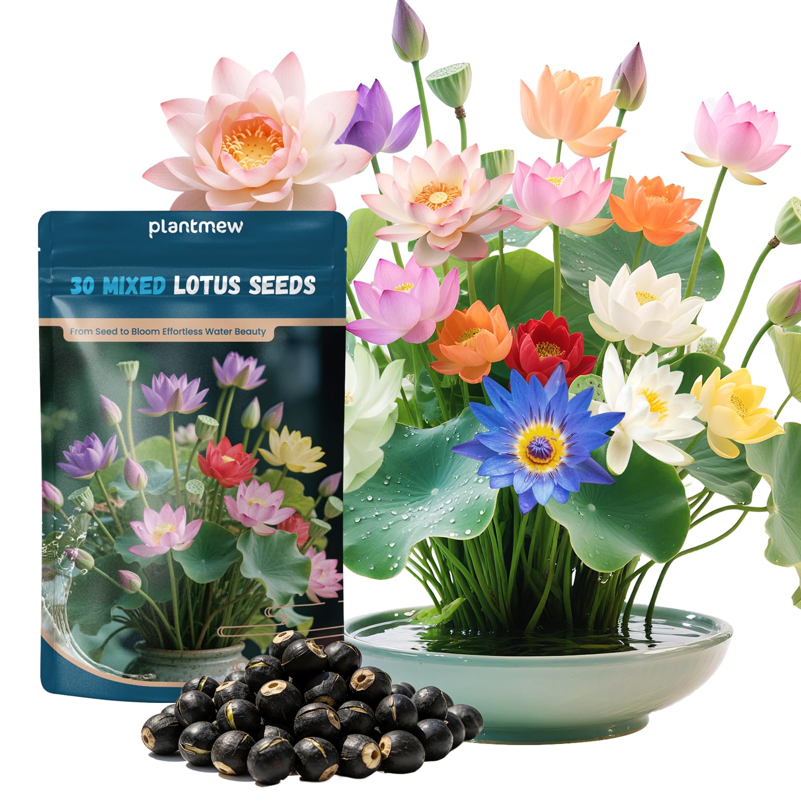 PLANTMEW lotus seeds in water-start setup for easy aquatic gardening.