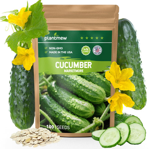 PLANTMEW Marketmore cucumber seeds packet for home gardens with non-GMO, high-yield potential.