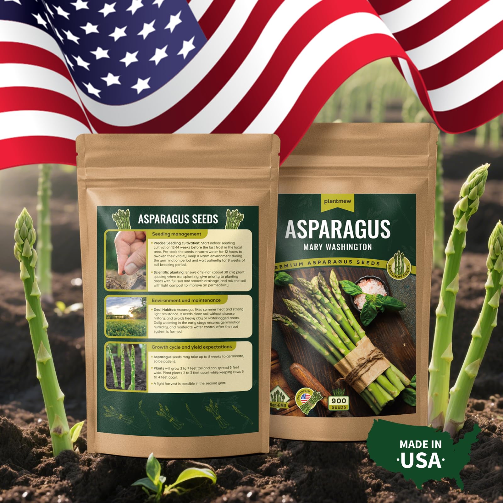 PLANTMEW Mary Washington asparagus bed setup shows ideal conditions for planting.