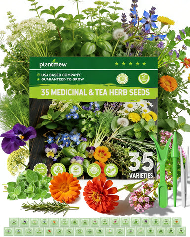 PLANTMEW medicinal herbs seed pack ready for planting in your home garden