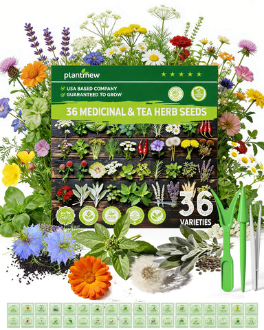 PLANTMEW medicinal herb seeds variety pack for home apothecary and tea garden.