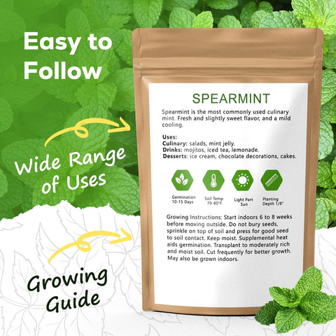 PLANTMEW mint seedling tray showing germination progress