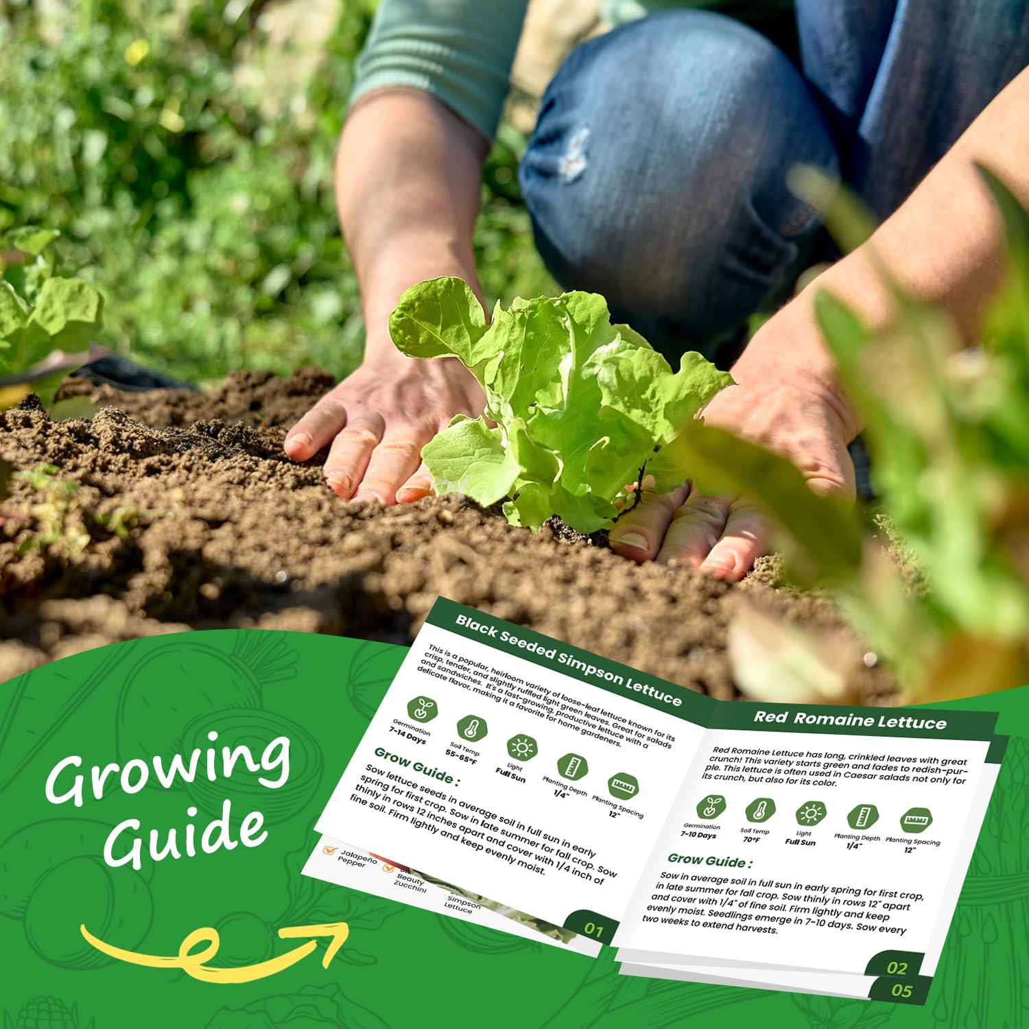 PlantMew non-gmo open-pollinated seeds – trusted heirloom quality