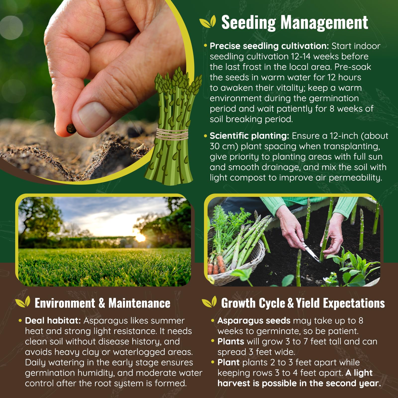 PLANTMEW non-GMO seeds pack close-up emphasizes freshness and quality.