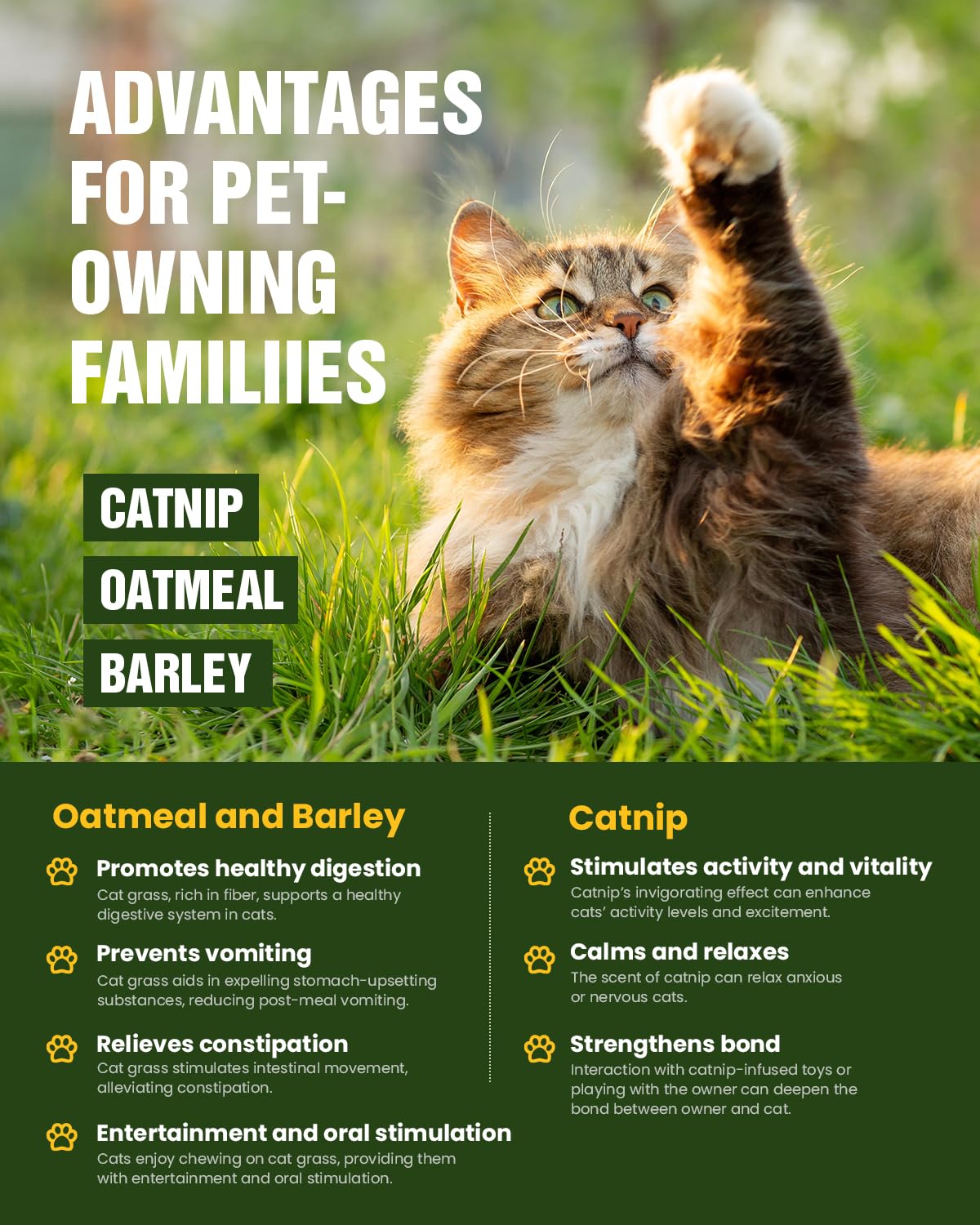 PLANTMEW non-GMO seeds package signals safe, chemical-free gardening