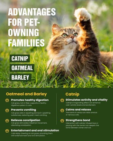PLANTMEW non-GMO seeds package signals safe, chemical-free gardening
