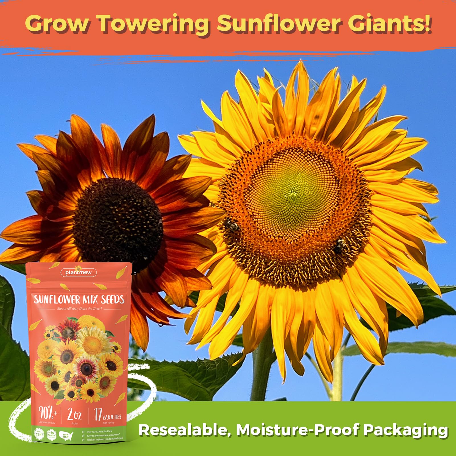 Open-pollinated PlantMeW heirloom seeds offer reliable germination and genetic diversity.