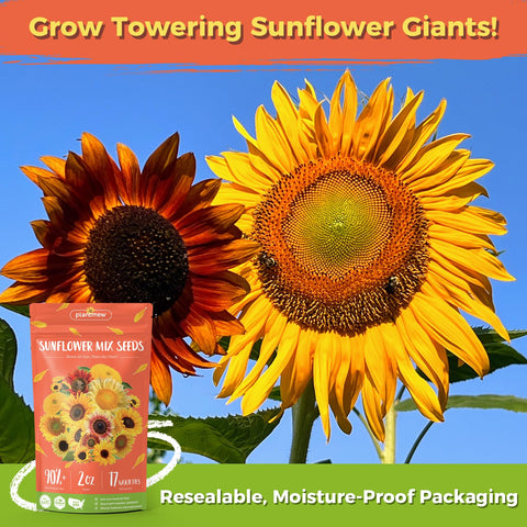 Open-pollinated PlantMeW heirloom seeds offer reliable germination and genetic diversity.