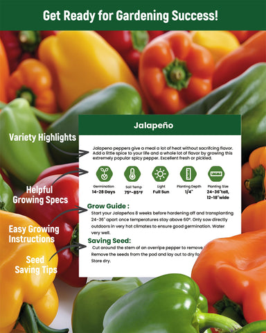 PLANTMEW Orange Cal Wonder peppers for grilling