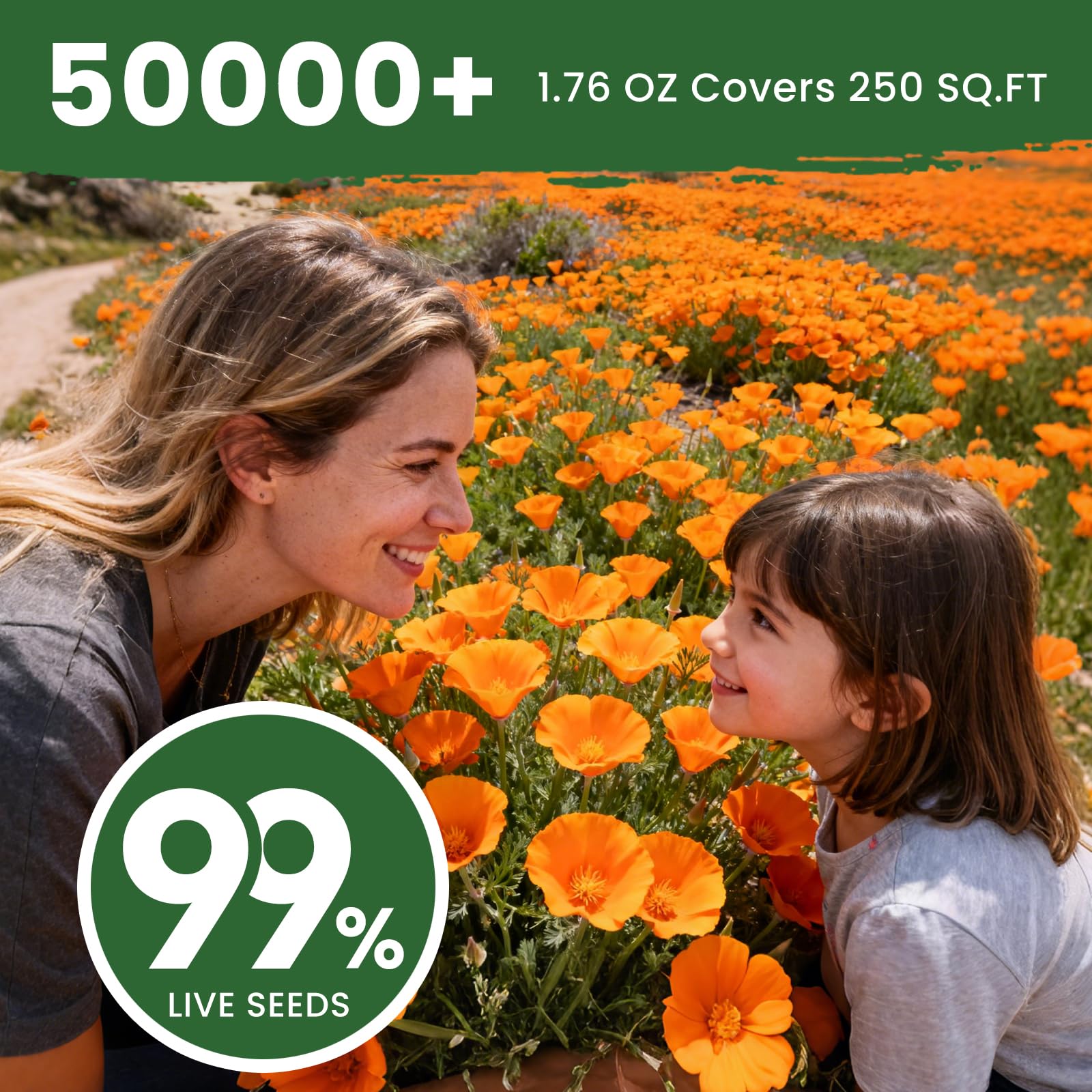 PLANTMEW orange poppies attract bees and butterflies in a pollinator-friendly garden.