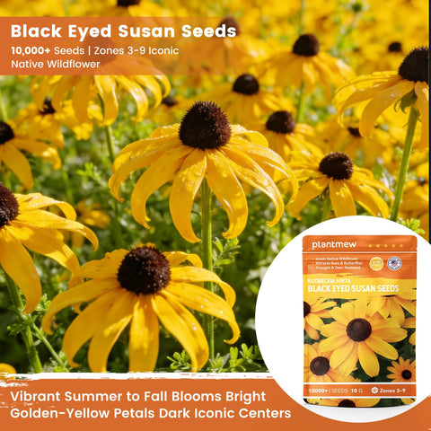 PLANTMEW pollinator-friendly seeds attract bees and butterflies to garden beds.