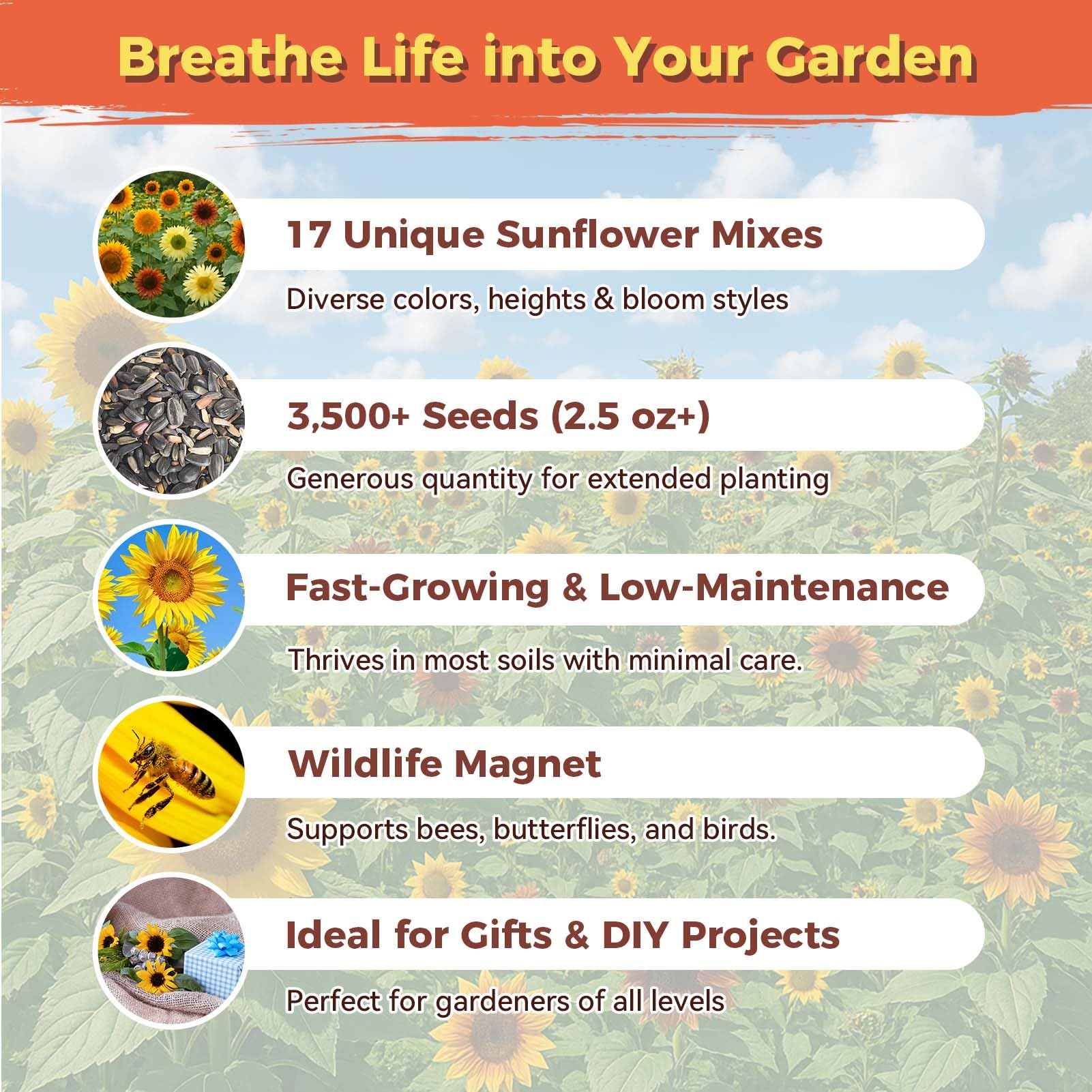 Pollinators visit PlantMeW sunflowers, supporting a lively, biodiverse outdoor space.