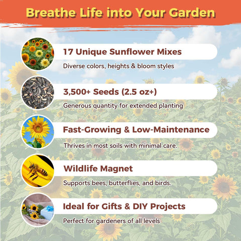 Pollinators visit PlantMeW sunflowers, supporting a lively, biodiverse outdoor space.