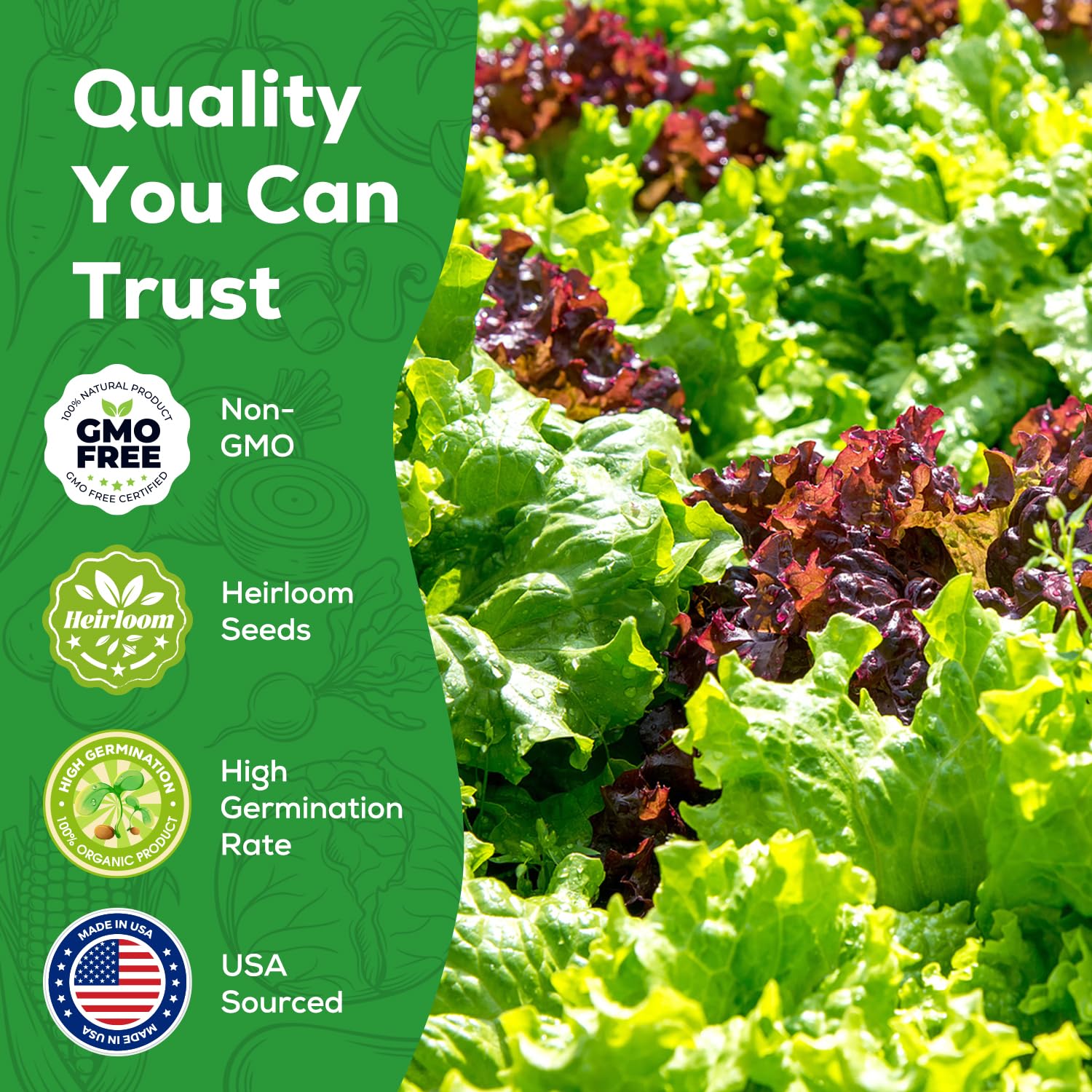 PlantMew rapid-growth seeds image – harvest in 30-55 days