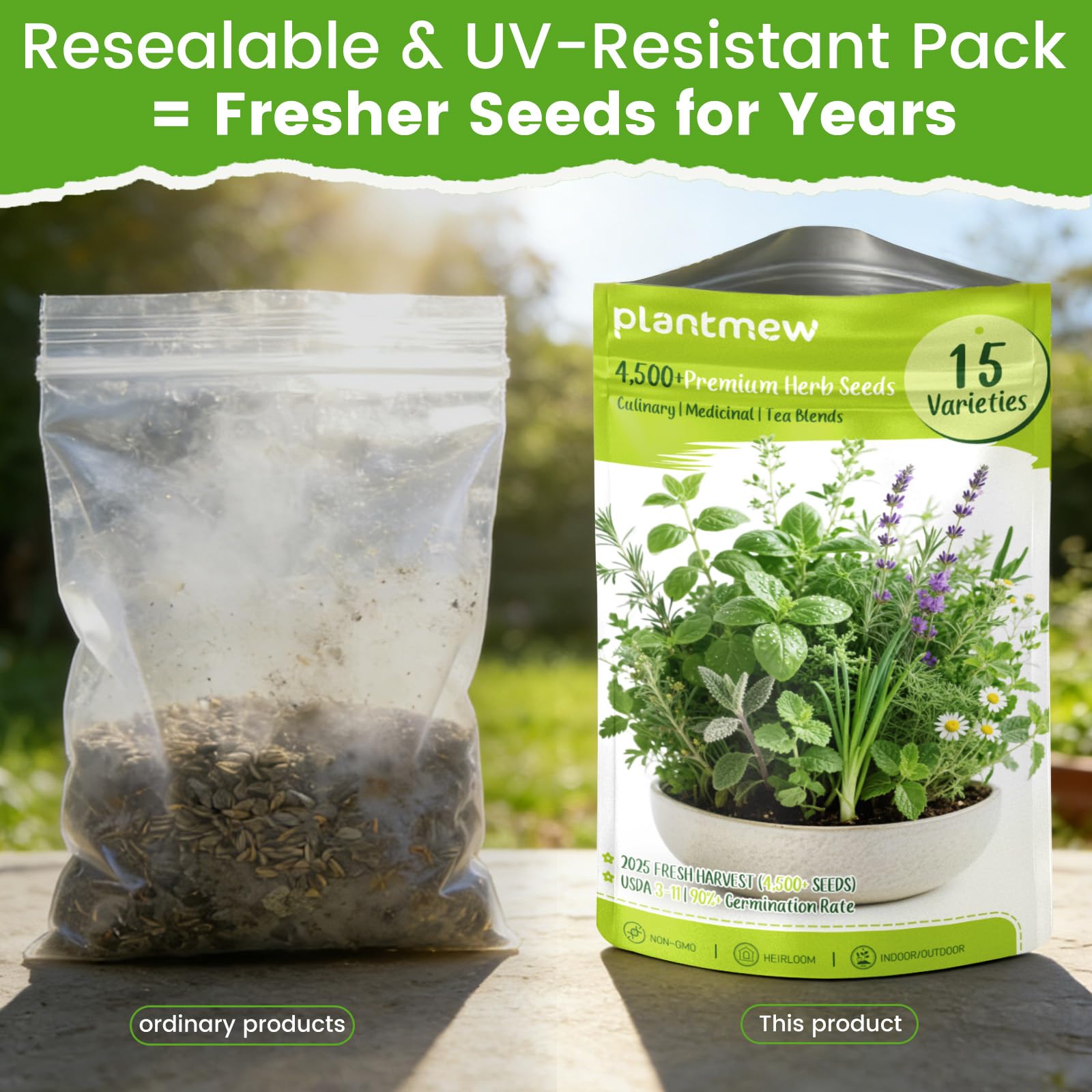 PLANTMEW rosemary needle leaves for fragrant roasting and infusions.