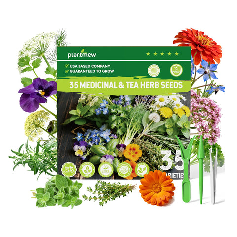 PLANTMEW seed packaging collection highlights diverse heirloom varieties