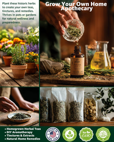 PLANTMEW seed packet open display shows vibrant herbs for fresh harvests