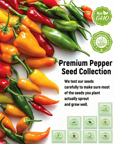 PlantMew Serrano pepper seeds germination view for hot, garden-ready peppers.