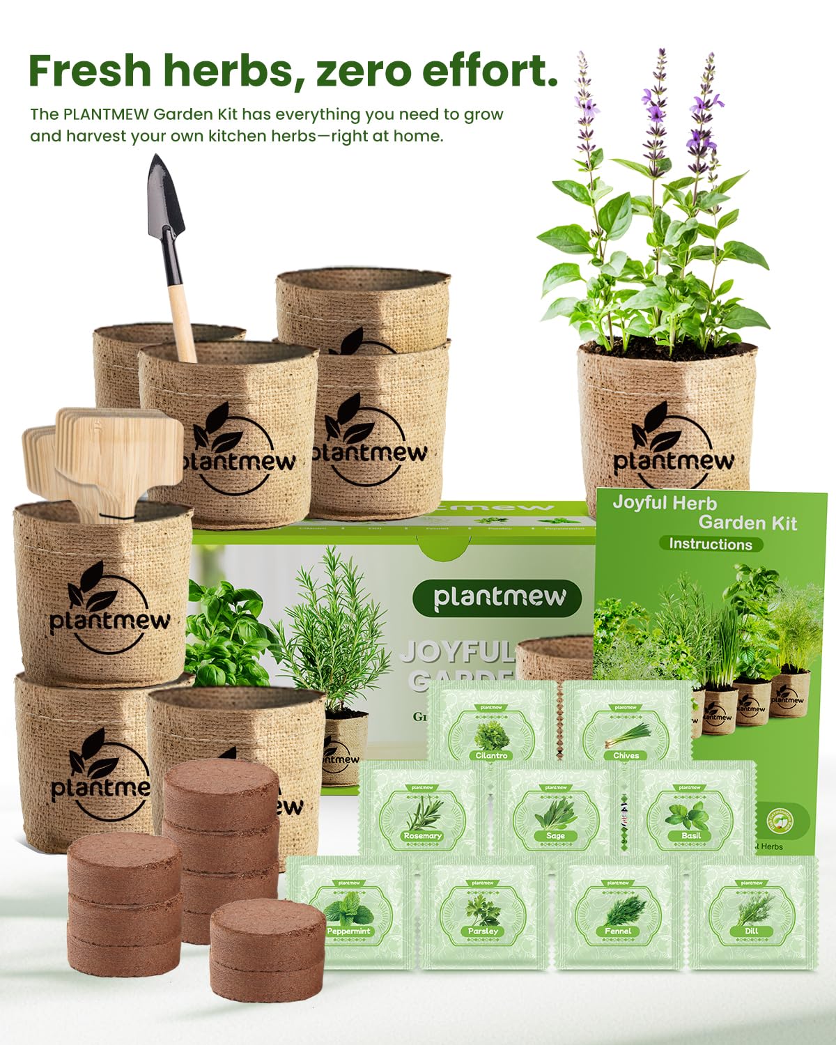 PLANTMEW starter kit with nine biodegradable pots ready for immediate planting.