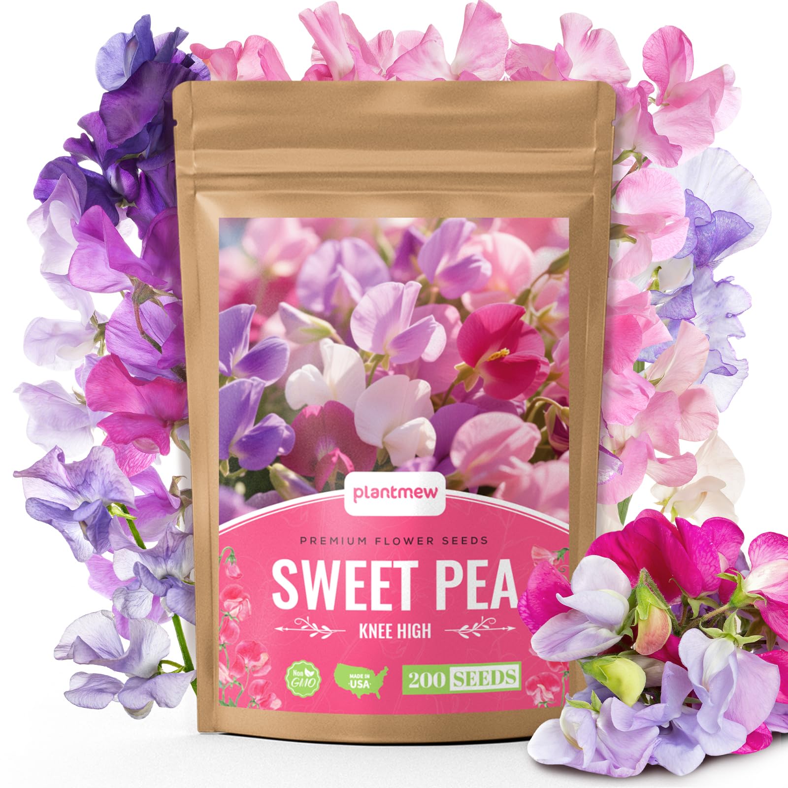 PLANTMEW Sweet Pea Seeds 200-pack ready for planting in sunny borders
