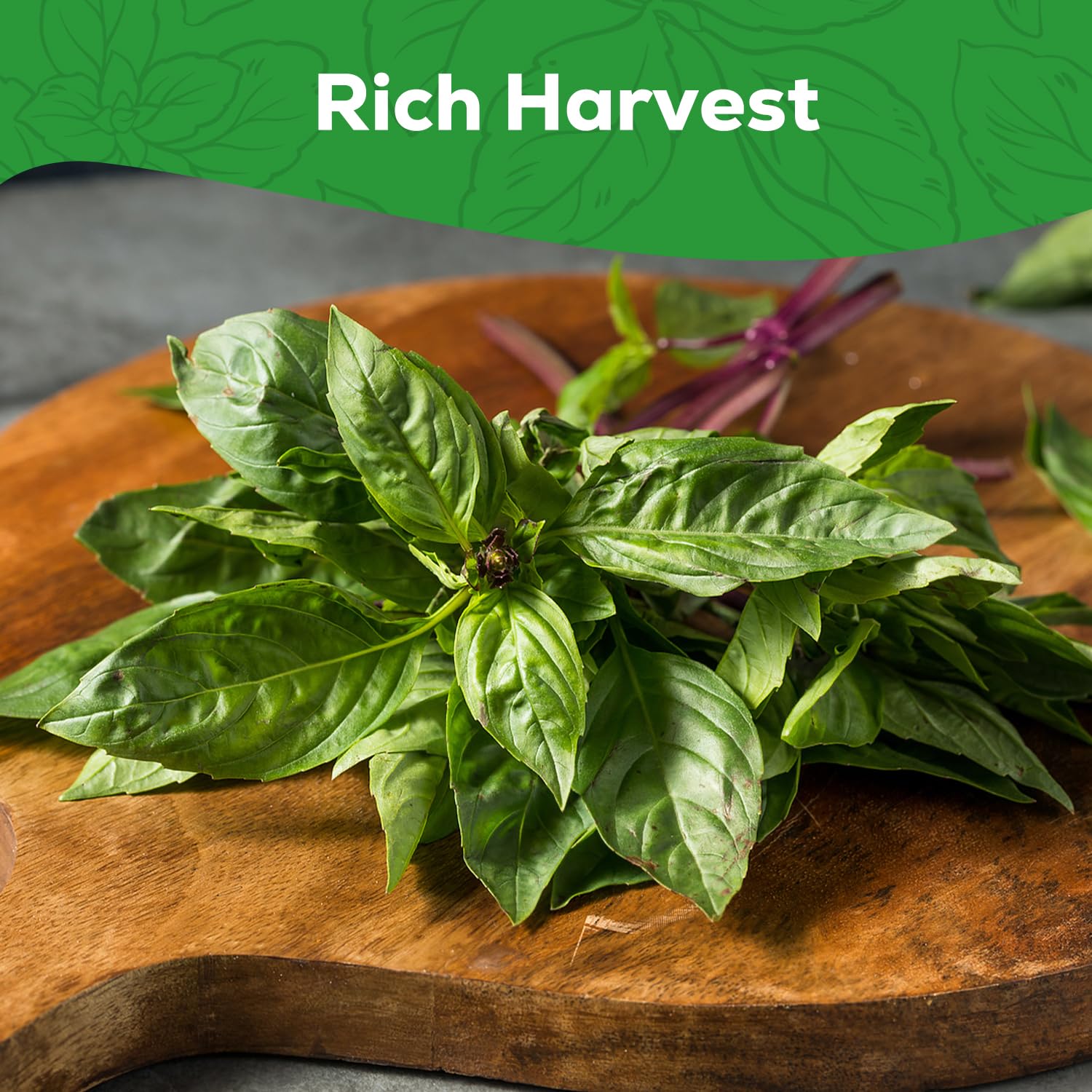 Aromatic PLANTMEW Thai Basil enhancing dishes in cooking