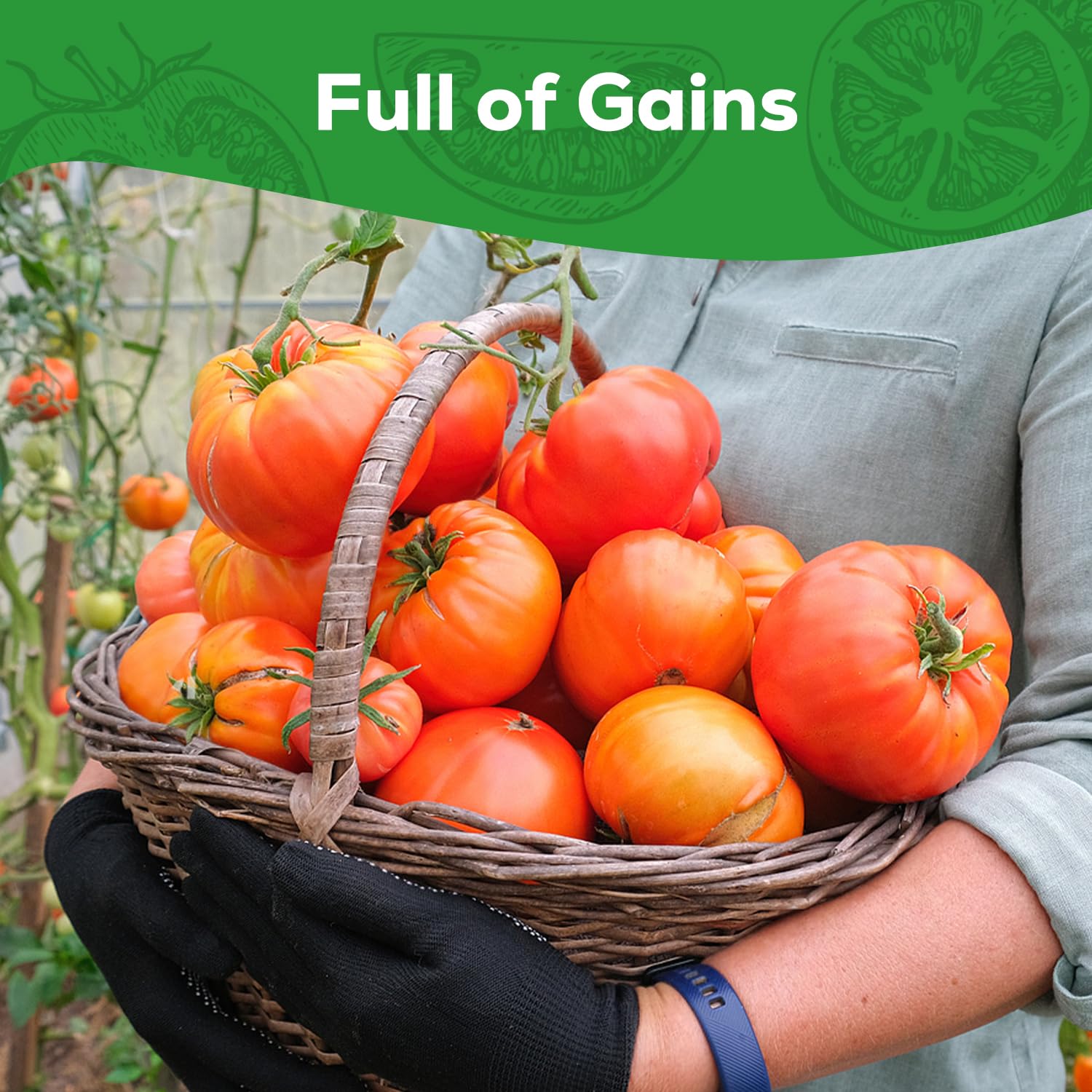 PLANTMEW Seed packet supports abundant yields of 1–2 lb fruits.
