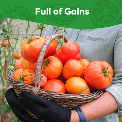 PLANTMEW Seed packet supports abundant yields of 1–2 lb fruits.