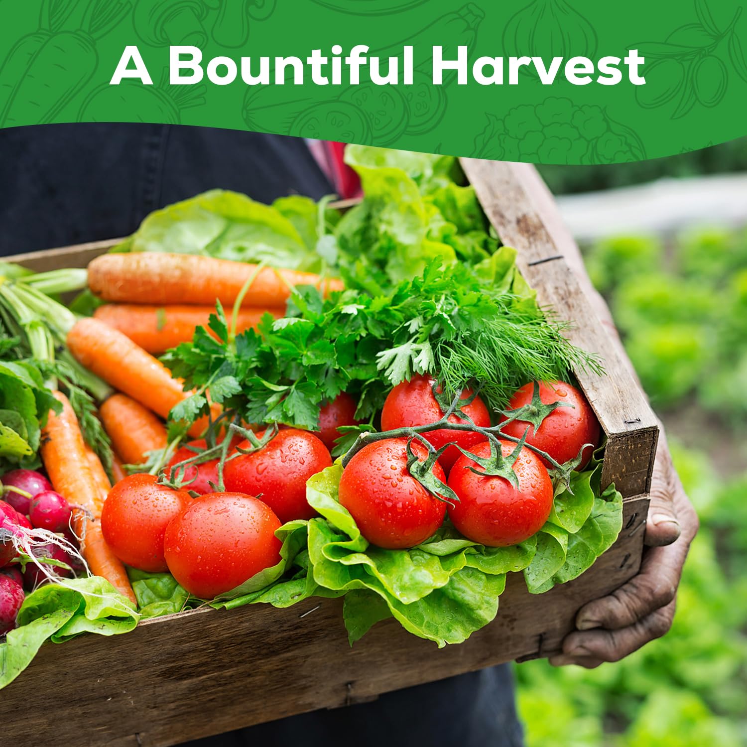 PLANTMEW harvest-ready-veggies suggest ready to harvest produce for meals.