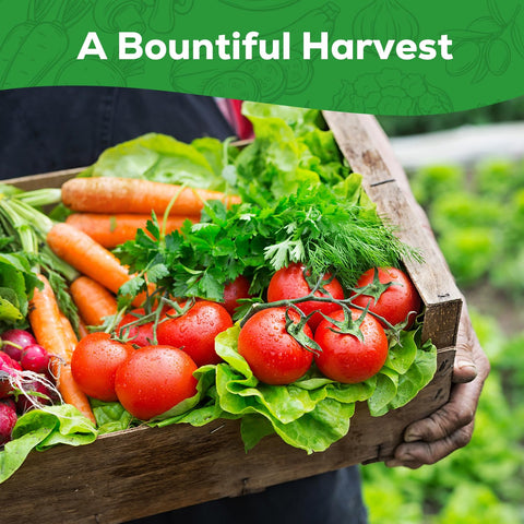 PLANTMEW harvest-ready-veggies suggest ready to harvest produce for meals.