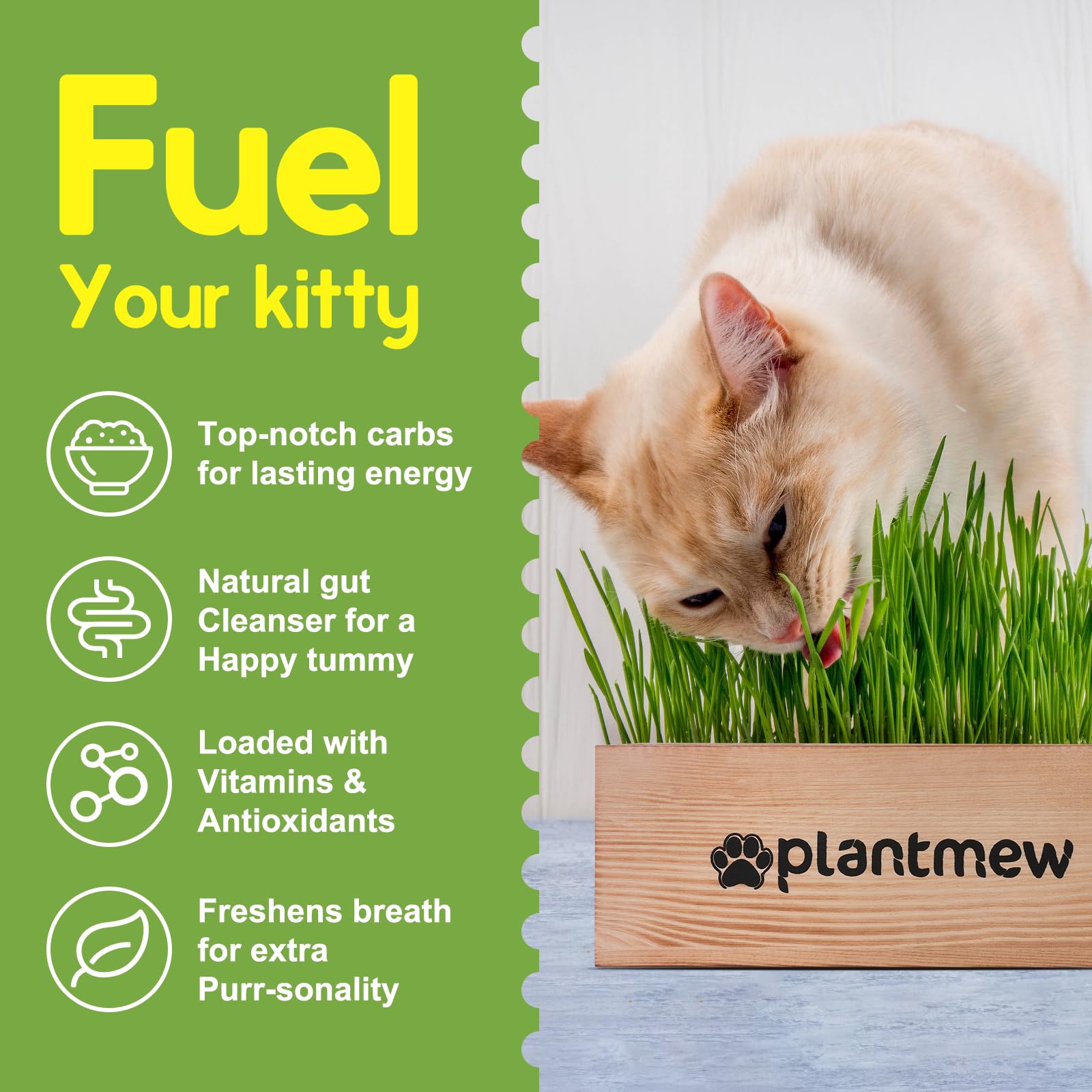 PlantMEW wooden planter decor doubles as stylish home accent.