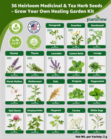 PLANTMEW yarrow seeds for colorful herb garden and teas.