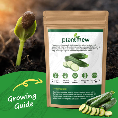 PlantMew seed packet close-up for reliable, easy-to-grow home harvest