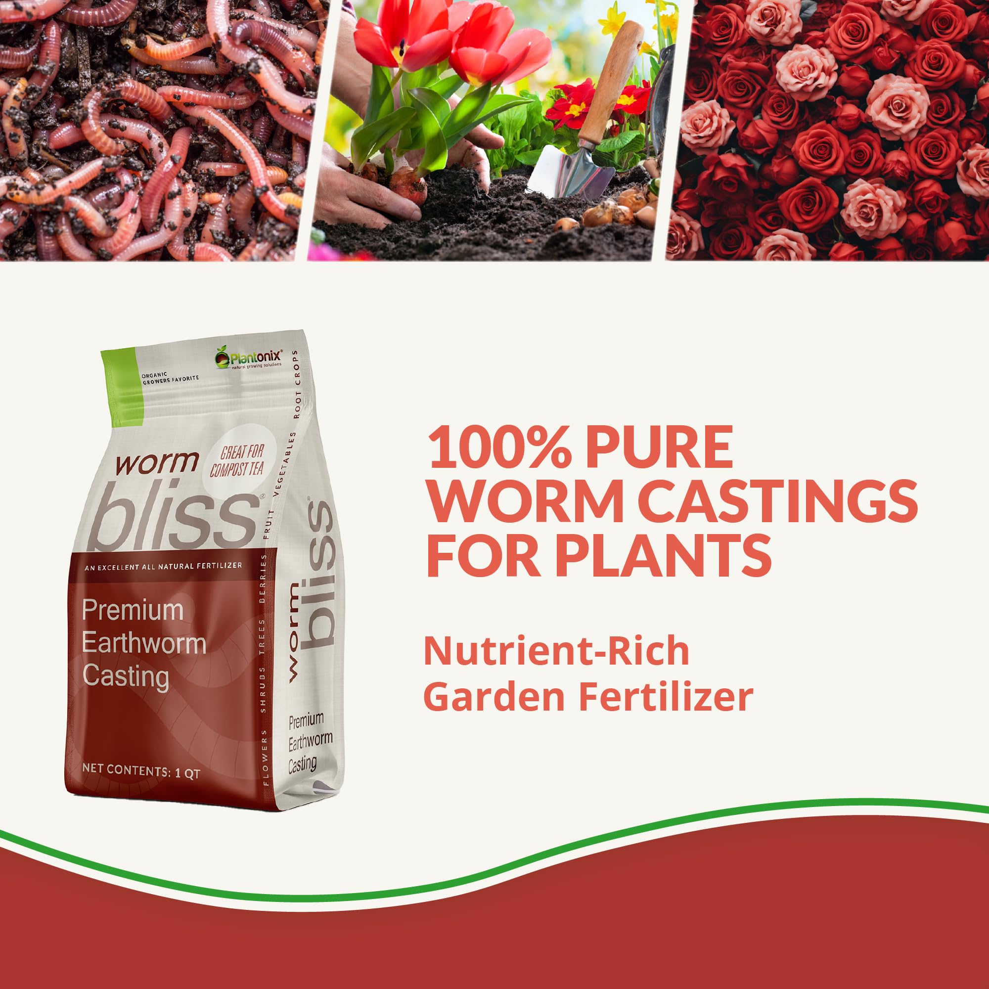 Plantonix Char Bliss biochar particles support water retention and nutrient availability.