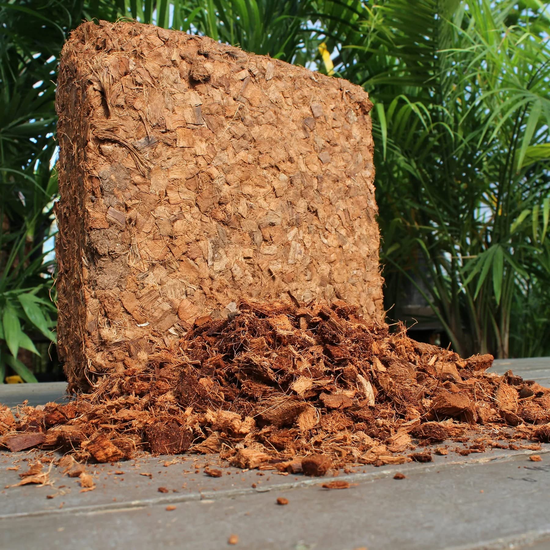 Plantonix Coco Chips hydroponics setup demonstrates versatile growing medium.