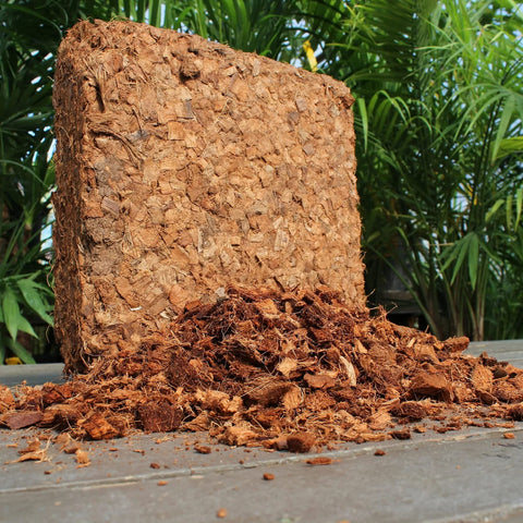 Plantonix Coco Chips hydroponics setup demonstrates versatile growing medium.