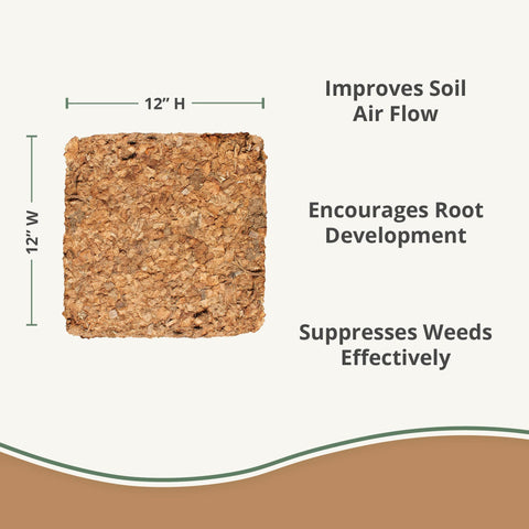 Plantonix Coco Chips in terrarium or garden show aerated root zone.