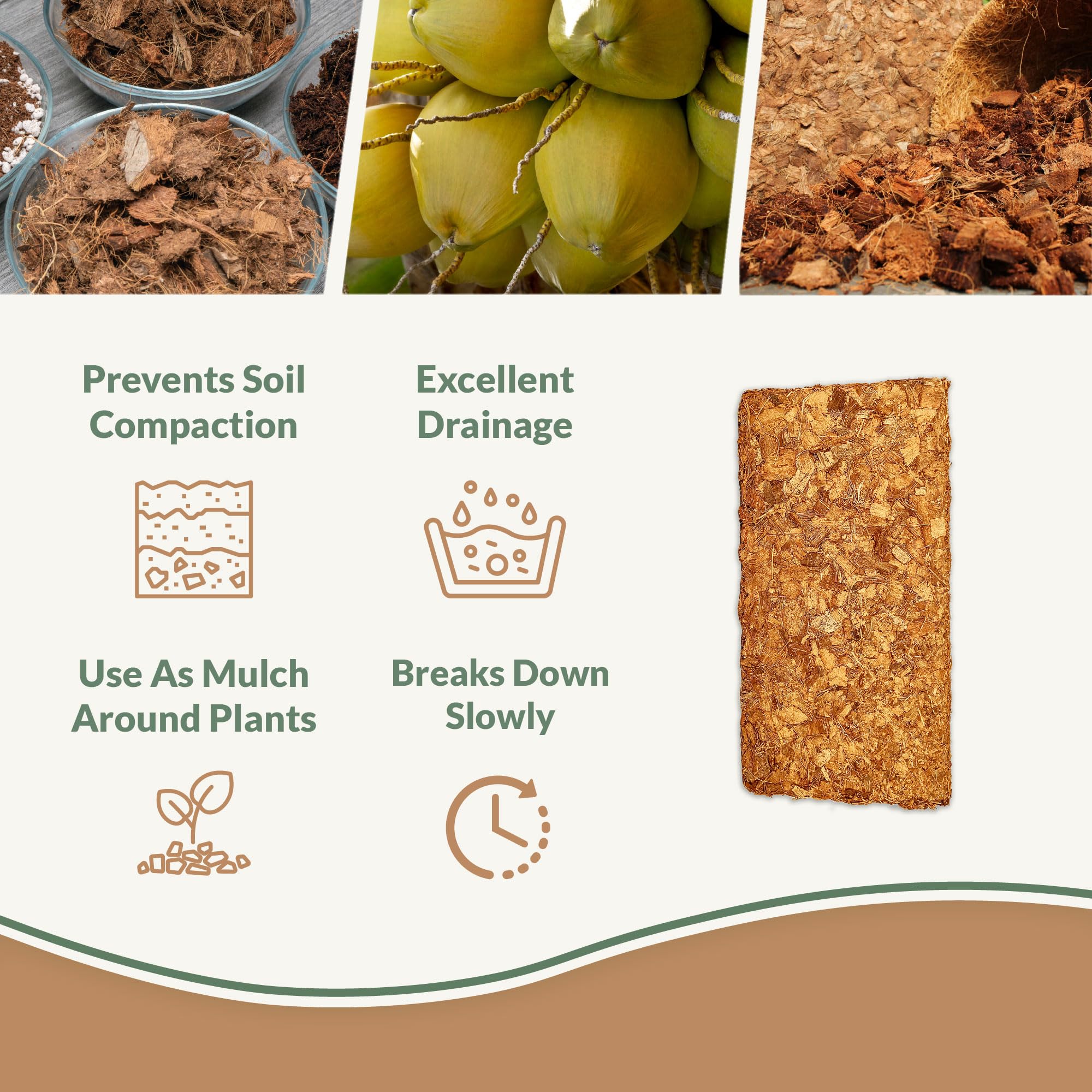 Plantonix Coco Chips water-retention demonstrates moisture-keeping for potted plants.