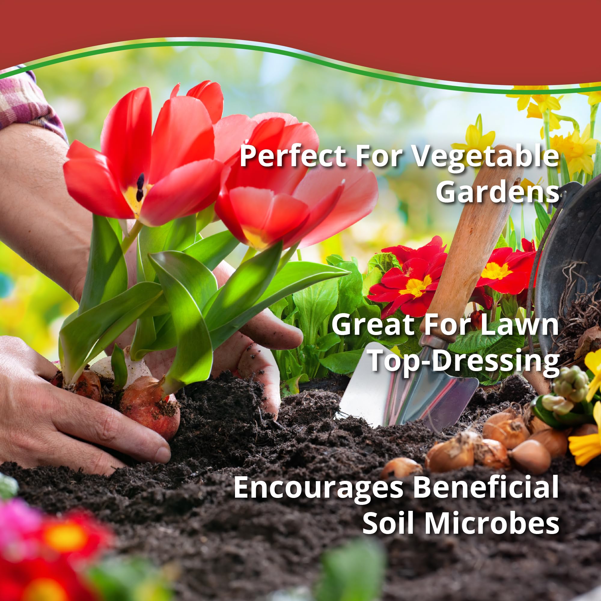 Indoor plants benefit from Worm Bliss application on potting mix.