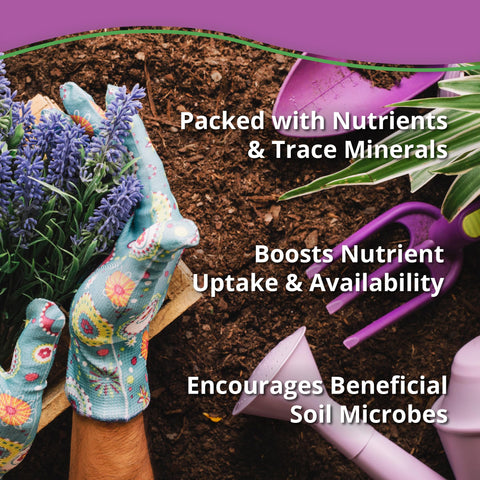 Plantonix Kelp Bliss garden-application demonstrates versatile use for plants.