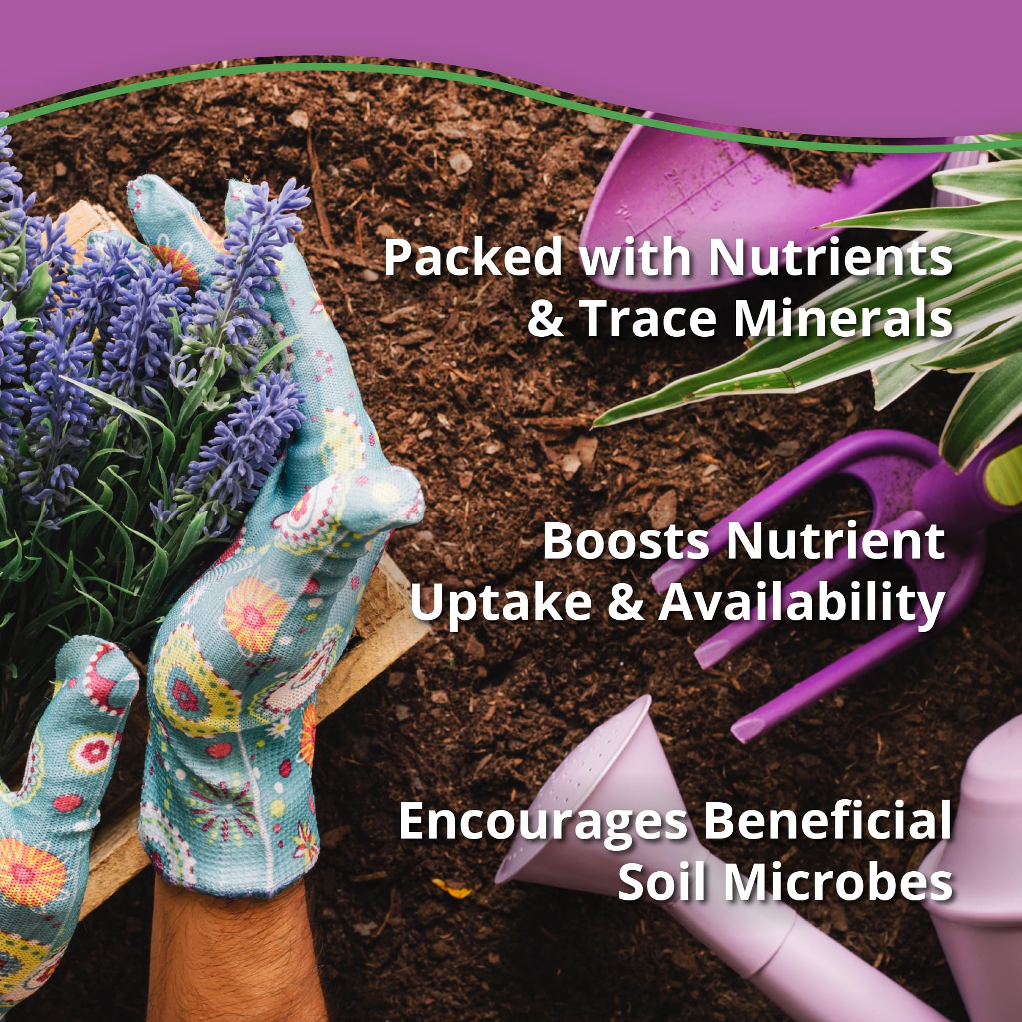 Lush garden scene featuring flourishing plants after using Plantonix Kelp Bliss.