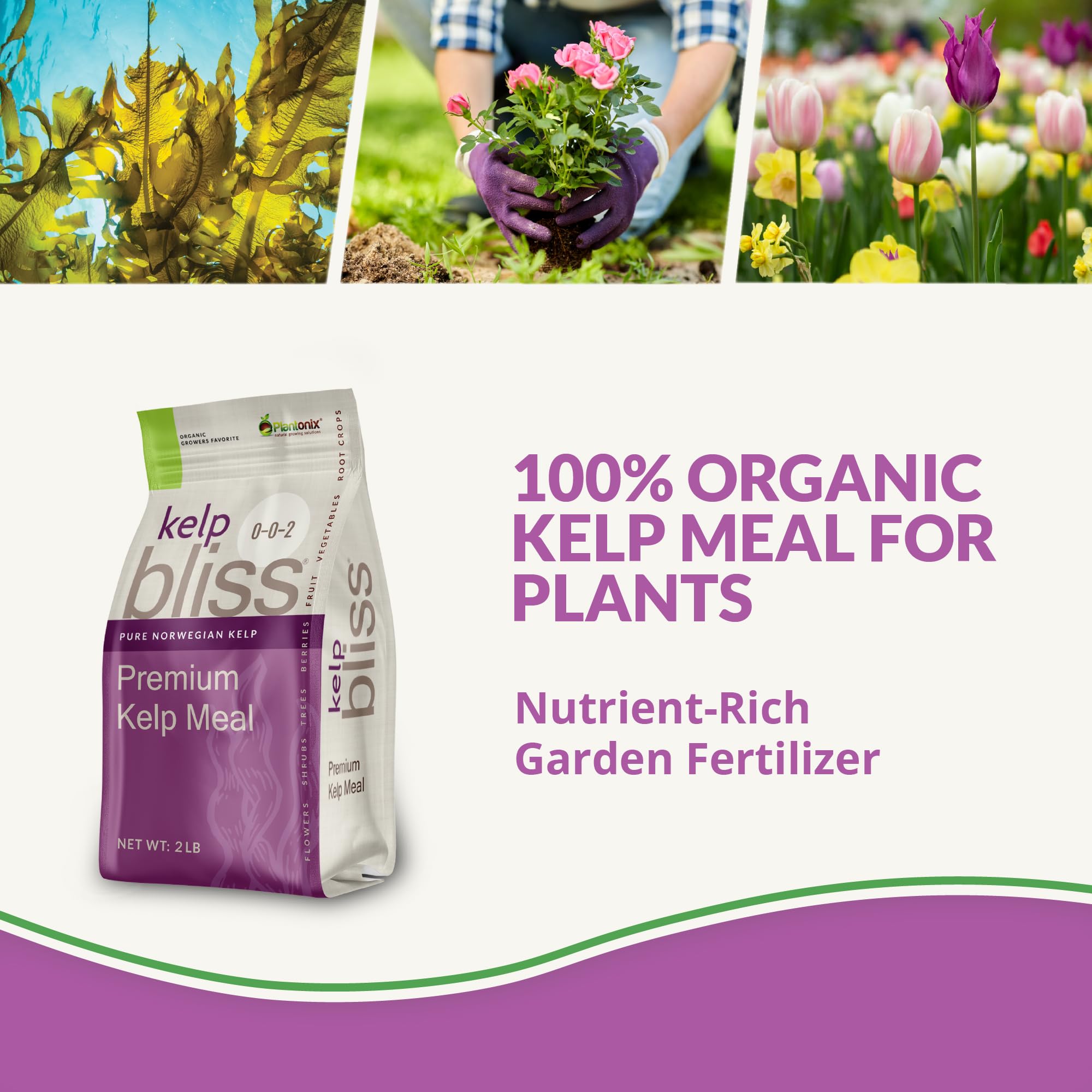 Close-up of soil amendment demonstrating kelp meal's root-friendly minerals.