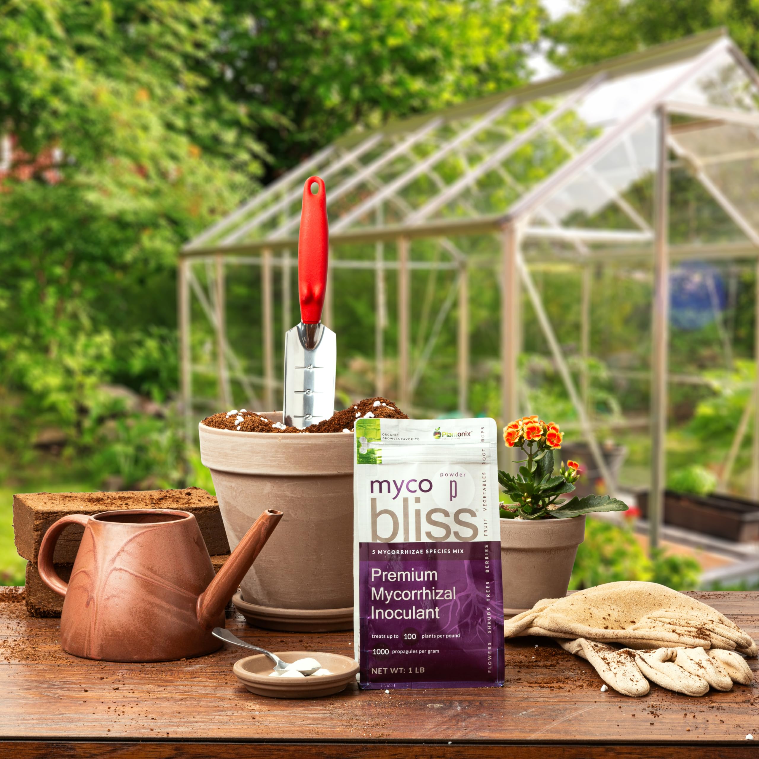 Plantonix Myco Bliss Bag Open reveals fine powder ready for mixing.