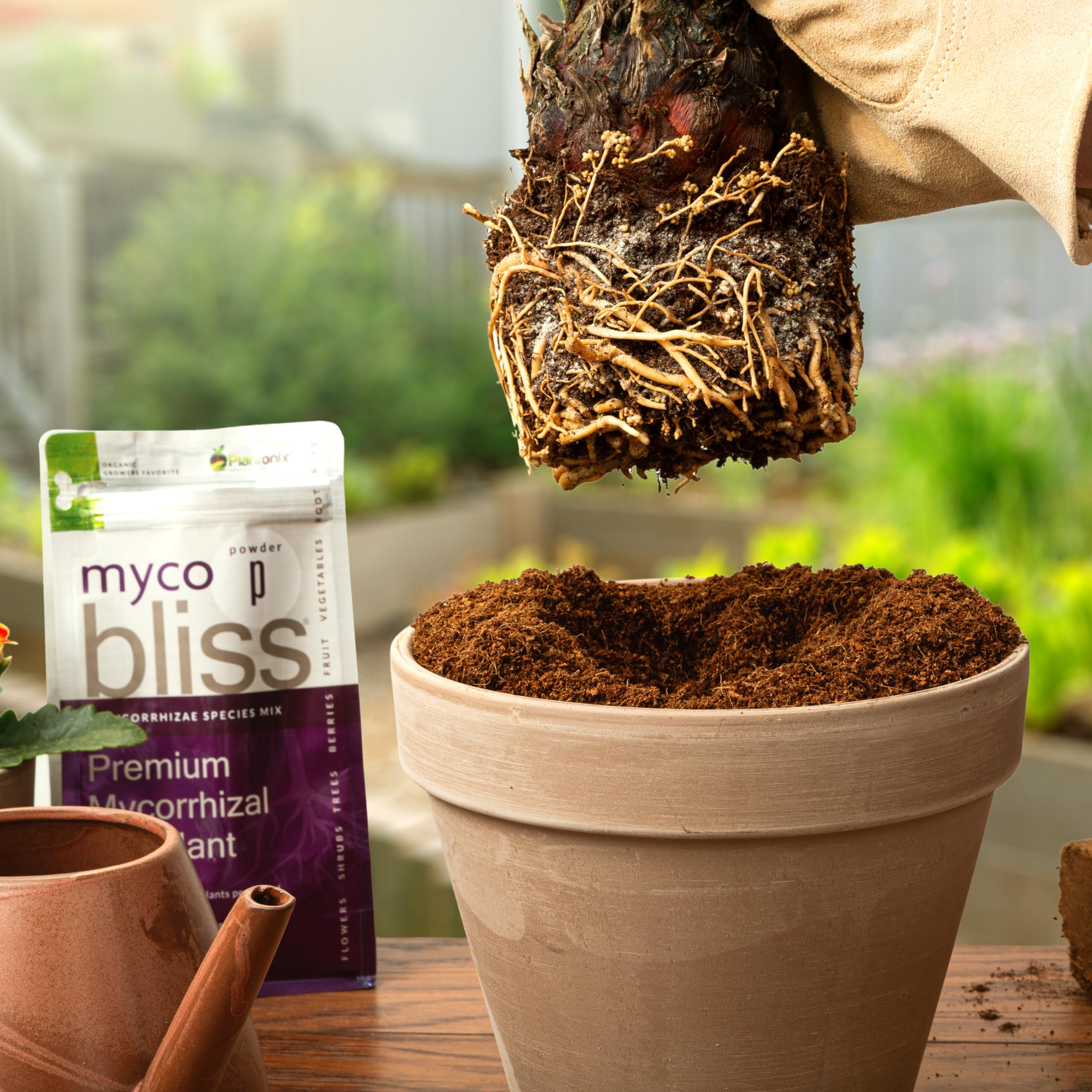 Garden bed application of Plantonix Myco Bliss promoting robust root networks