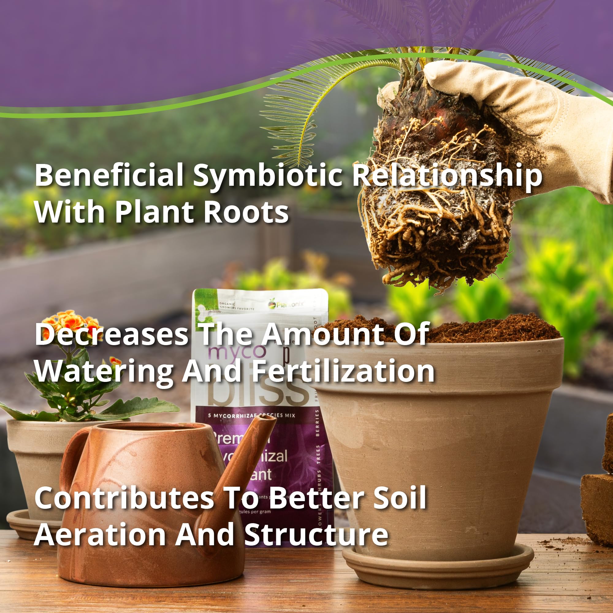 Plantonix Myco Bliss Granular near roots promotes robust growth in containers