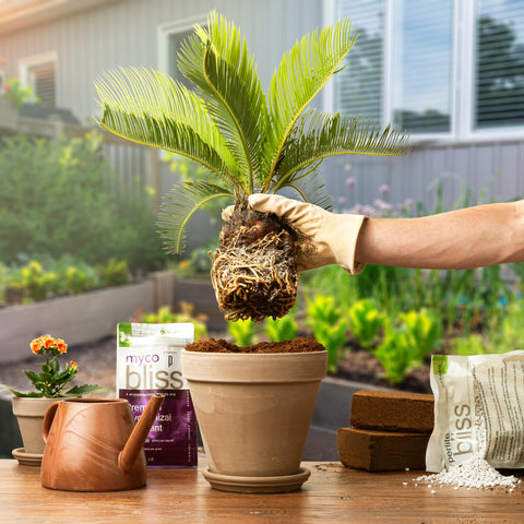 Plantonix Myco Bliss Moisture Retention supports plants during dry or humid spells.