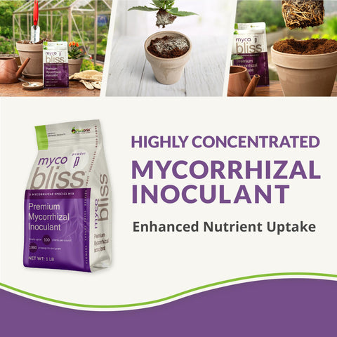 Plantonix Myco Bliss packaging label highlights the five-strain formulation for healthier root development